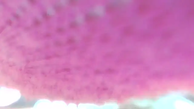 Sweetieanalxxx online show from April 2026 12:30:01 AM