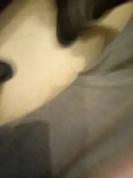 flo000031 online show from January 2026 03:28:02 PM