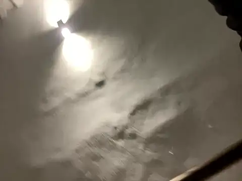 morfeoX online show from February 2025 06:28:01 AM