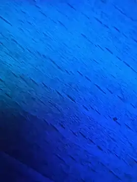 GmG2029 online show from March 2025 06:54:01 PM