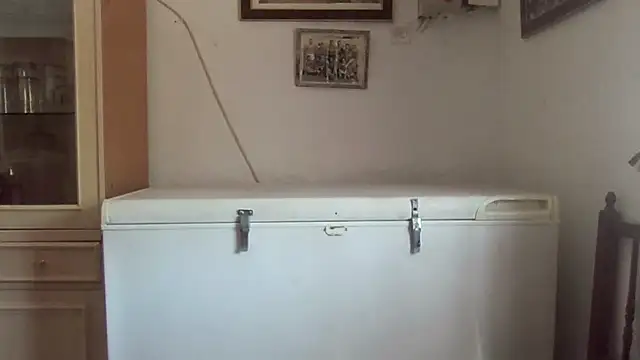 llopaco online show from September 2025 10:37:02 AM