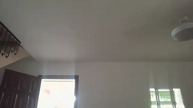 Snapshot of llopaco chatting on June 2026 10:31:02 AM llopaco online show from June 2026 10:31:02 AM