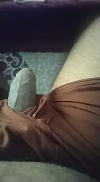 Snapshot of desi_pb02 chatting on February 2025 10:06:02 AM desi pb02 online show from February 2025 10:06:02 AM