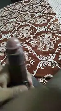 Snapshot of desi_pb02 chatting on September 2025 09:47:02 PM desi pb02 online show from September 2025 09:47:02 PM