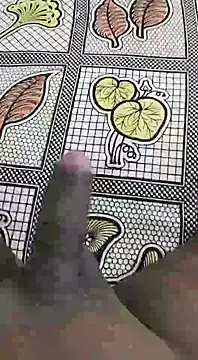 Snapshot of desi_pb02 chatting on September 2025 01:50:01 AM desi pb02 online show from September 2025 01:50:01 AM