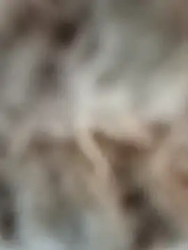 Snapshot of mauroxx08 chatting on April 2026 03:20:02 PM mauroxx08 online show from April 2026 03:20:02 PM