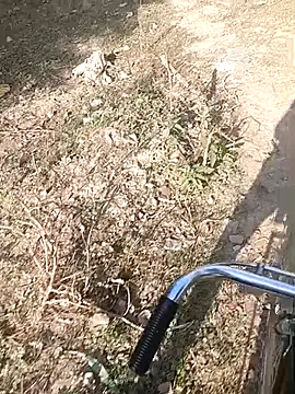 bairobunde online show from February 2026 04:16:02 AM