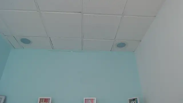 Snapshot of Sunshine_gh1 chatting on May 2026 11:27:01 AM Sunshine gh1 online show from May 2026 11:27:01 AM