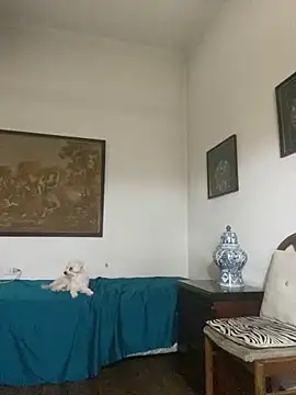 KititA12 online show from February 2026 05:08:02 AM