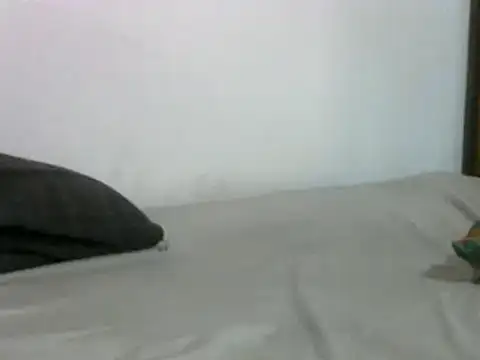 sissydinu online show from March 2025 05:12:02 AM