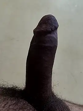 alkhabiir online show from January 2026 08:44:01 PM