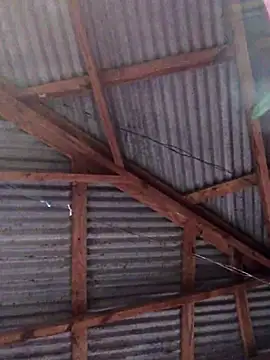 Ladyzee25 online show from November 2025 09:05:02 PM