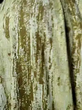 mens weakness online show from November 2025 06:49:01 AM