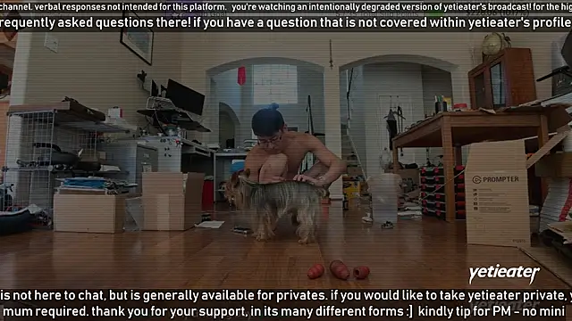 yetieater online show from March 2025 05:07:02 PM