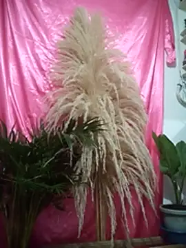 John los666 hot online show from April 2026 07:45:01 AM