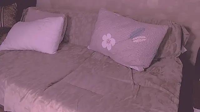 Snapshot of SoftLia chatting on May 2026 10:26:01 PM SoftLia online show from May 2026 10:26:01 PM