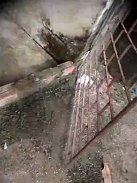 viviksmel online show from April 2026 06:10:01 PM