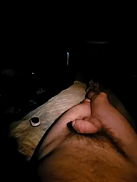 aleksis1313 online show from March 2025 05:50:01 PM