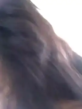 dihayara online show from January 2026 01:48:02 PM