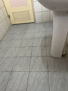 Snapshot of chipboo chatting on October 2025 08:46:02 AM chipboo online show from October 2025 08:46:02 AM