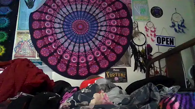 GardeniaFields online show from February 2026 08:56:01 AM