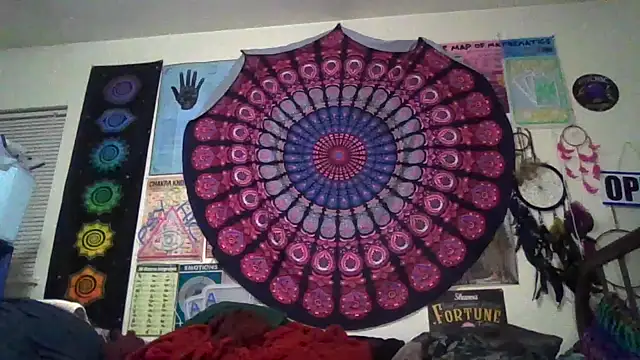 GardeniaFields online show from March 2026 09:36:02 AM