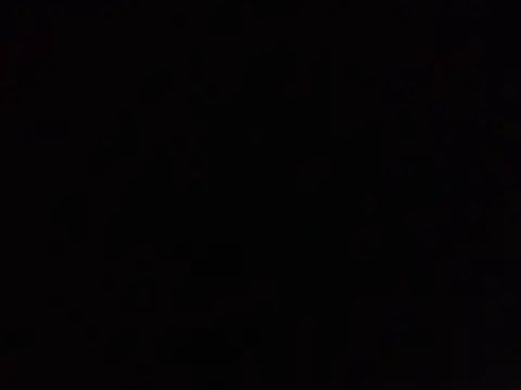 SavagesGN online show from February 2026 08:58:01 PM