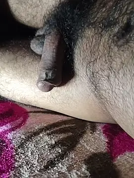 Mr skywalker online show from February 2026 11:49:01 AM