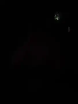 Hugo34bg online show from February 2026 05:42:01 PM