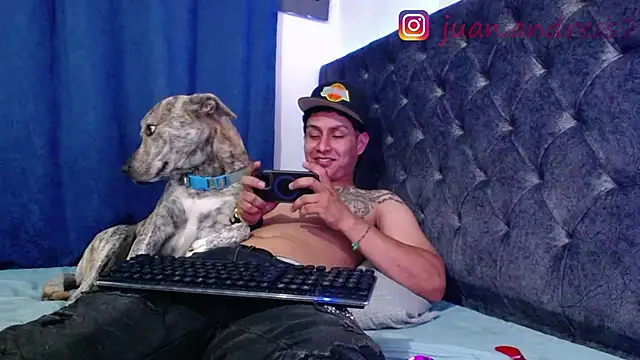 Stone grey1  online show from February 2026 03:58:02 AM