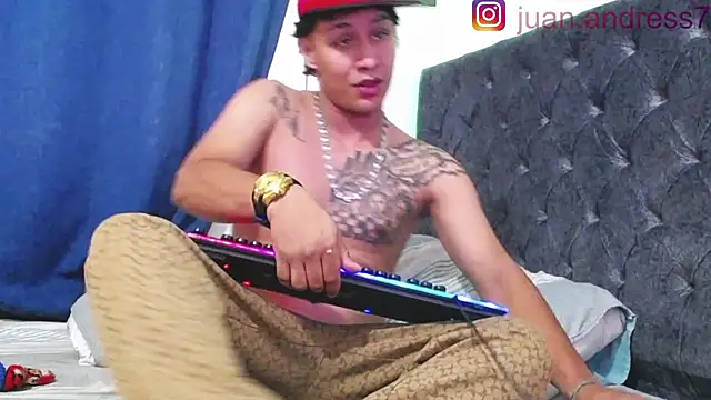 Stone grey1  online show from February 2026 06:55:02 AM