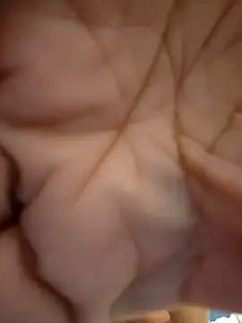 Snapshot of ikeike-kun chatting on November 2025 11:31:02 AM ikeike-kun online show from November 2025 11:31:02 AM