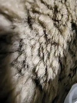 Snapshot of ikeike-kun chatting on December 2025 01:33:02 AM ikeike-kun online show from December 2025 01:33:02 AM