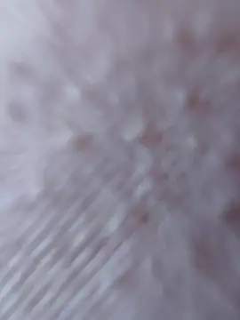 Snapshot of So8nan chatting on September 2025 01:02:02 PM So8nan online show from September 2025 01:02:02 PM