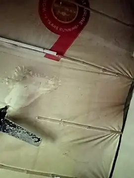 adrija94 online show from November 2025 04:11:01 AM