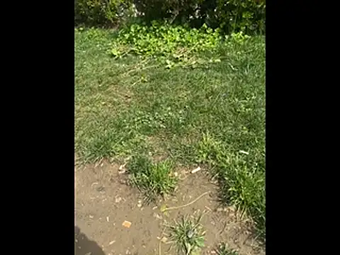 Snapshot of giyasbvnghkgkfk chatting on April 2026 10:35:02 AM giyasbvnghkgkfk online show from April 2026 10:35:02 AM