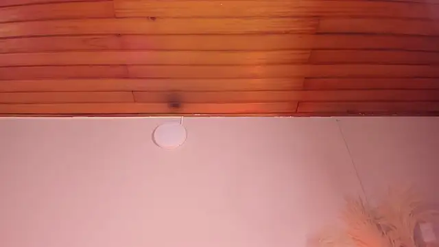 Snapshot of viol_collins__ chatting on March 2025 12:14:02 PM viol collins   online show from March 2025 12:14:02 PM