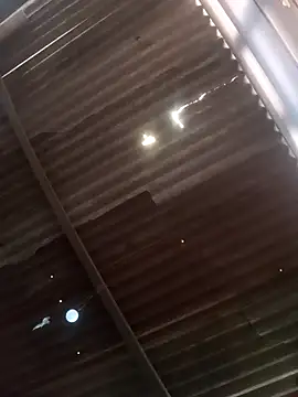 Snapshot of srtsara chatting on February 2026 08:42:02 PM srtsara online show from February 2026 08:42:02 PM