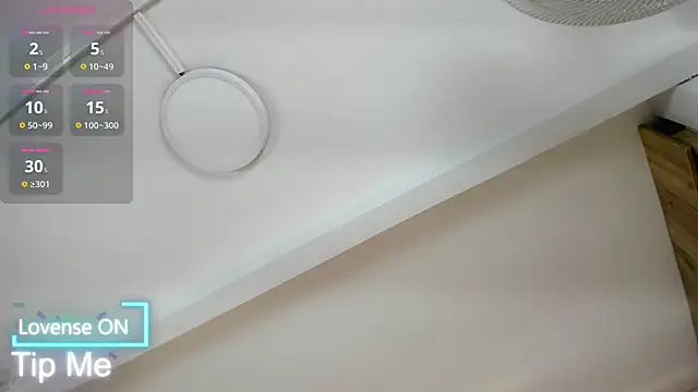 VICTORIAGRAYS online show from November 2025 11:24:01 AM