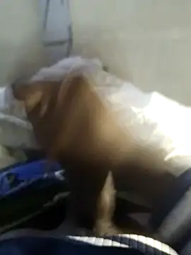 92donis online show from November 2025 07:24:01 PM