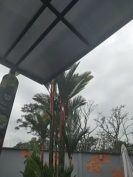 Yessica Lopezz online show from March 2026 11:28:02 AM