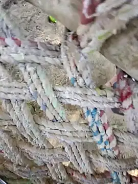 Naveen9100Unity online show from April 2026 10:31:02 AM