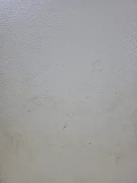 titooritax online show from October 2025 09:49:02 PM