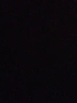 MusaAyla online show from November 2025 03:41:01 AM