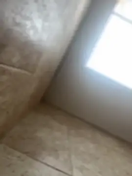 Noa Todokoro online show from October 2025 03:00:02 PM