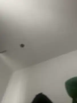 Noa Todokoro online show from November 2025 03:00:02 PM