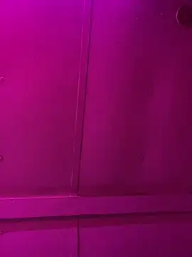 Snapshot of jcwxt chatting on March 2026 11:56:02 AM jcwxt online show from March 2026 11:56:02 AM