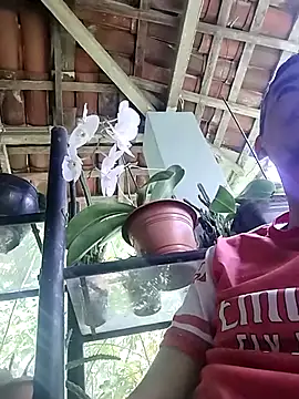 Boragozarvem online show from October 2025 02:58:02 PM