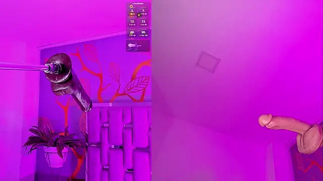 DollyMae  online show from July 2026 04:04:02 AM