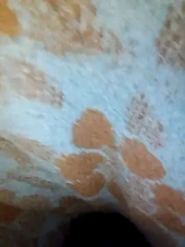 Snapshot of ParousFlow chatting on April 2026 10:10:02 PM ParousFlow online show from April 2026 10:10:02 PM